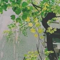 中学生校园教育讲座观后感总汇