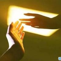 寂寞读后感800精选