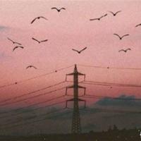 热爱生命观后感1500锦集