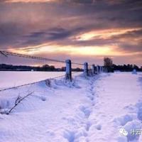 昭君的格局读后感聚集