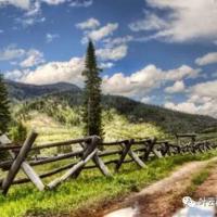 害怕影子的人寓言读后感细选