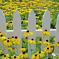 我是中国人演讲观后感选录