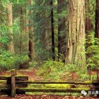 08春节晚会观后感汇合