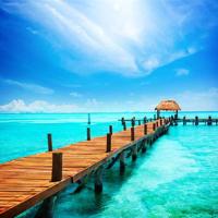 《中华美德》的读后感聚集