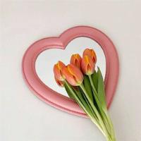 王的盛宴读后感600字集锦