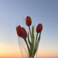 观后感的写法技巧指导介绍合集