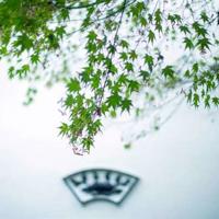 家风家训家规读后感集合