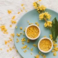 狮子烫发故事观后感精练