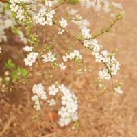 社会主义微电影的观后感汇总