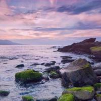 自我保护自己读后感汇集