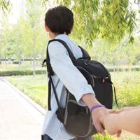 《钥匙瓜》读后感精练