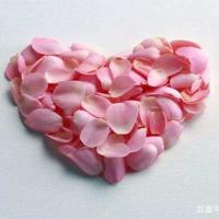 一带一路战略胡正塬读后感集合