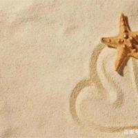 巴金我的梦读后感精选