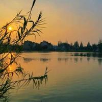 杂技小精灵观后感大全汇集