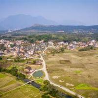 给姑妈的一封信读后感集合