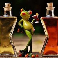 班会观后感开头套话总汇