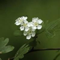 卢浮宫之旅观后感精选