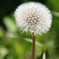 法治中国专题片的读后感汇编