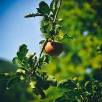 中华美德读后感150字合集