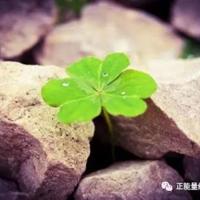 原来如此安全气囊观后感集合