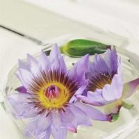 游玩军事博物馆观后感聚集