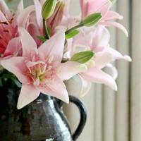 观看雷锋读后感100字合集