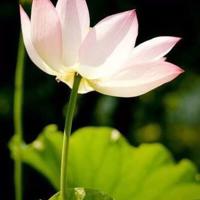 环境安全环保观后感汇聚