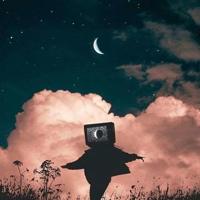 猪笼草的秘密读后感聚集