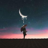 王的盛宴读后感600字集锦