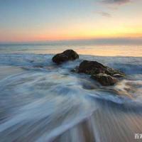 如皋寿星老观后感锦集