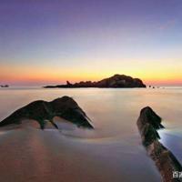 吃狼奶的羊读后感403字聚集