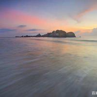 克的一棵树读后感锦集