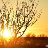 习惯与自然读后感合集