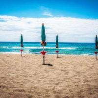 笑里藏刀的读后感精选