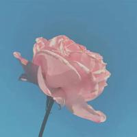 保护地球读后感800字汇聚