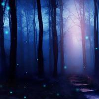 新型垃圾站读后感选录