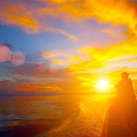 火烧圆明园观后感周记锦集