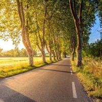 读后感岳飞精忠报国汇编