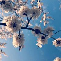 简奥斯汀的遗憾观后感整理