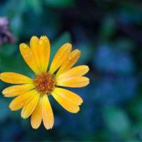 恐龙大冒险的观后感的结尾精选