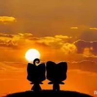 经典再现炒股的智慧读后感合计