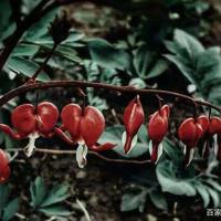 小鬼当家三观后感五句整理