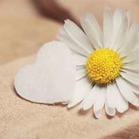 苏州市大阳山植物园观后感集锦