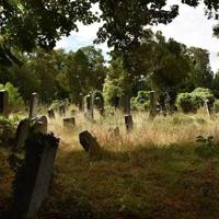 大侦探夏洛克观后感精选