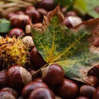 创新中国电视剧观后感汇集