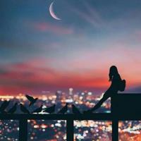 缉毒观后感550字精选