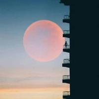 西安碑林博物馆观后感收集