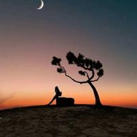 七色花仙鹤和狐狸读后感选录