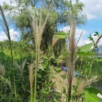 战天京读后感900字汇编