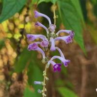 奔跑吧兄弟联合国的观后感汇合